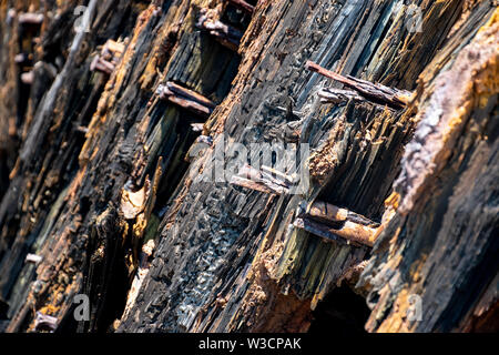 Holzplanken aus einem versunkenen spanischen Schiff, das an Land gespült wurde während eines Hurrikans Stockfoto