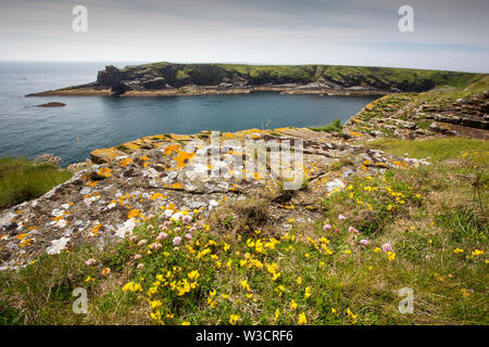 Klippen auf dem SE-Tipp von South Ronaldsay, Orkney, Schottland, Großbritannien. Stockfoto