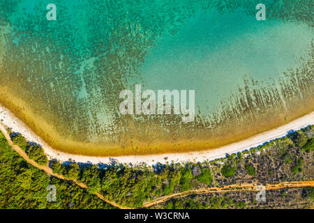 Adria Küste in Kroatien, Insel Dugi otok, Kiefernwälder und versteckten geheimen Strand von Drohne, Ansicht von oben Stockfoto