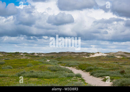 Natürliche Dünen in der Nähe von Bergen aan Zee in Niederlande Stockfoto