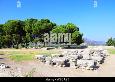 Fragmente der antiken Säulen an der archäologischen Stätte in der Nähe der Ruinen von Saint John's Basilika, Selcuk, Ephesos, Türkei Stockfoto