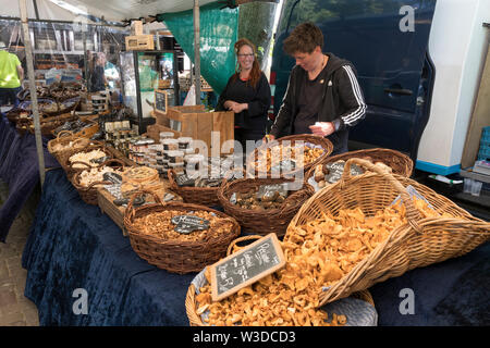 Amsterdam, Holland - Juni 22, 2019: Vielfalt der Pilze auf dem Markt am Noordermarkt Stockfoto