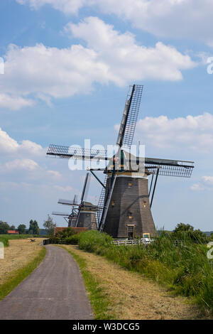 Leidschendam, Niederlande - 24 Juni 2019: Molendriegang, drei Windmühlen, in der Gegend von Leidschendam Stockfoto