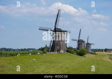 Leidschendam, Niederlande - 24 Juni 2019: Molendriegang, drei Windmühlen, in der Gegend von Leidschendam Stockfoto