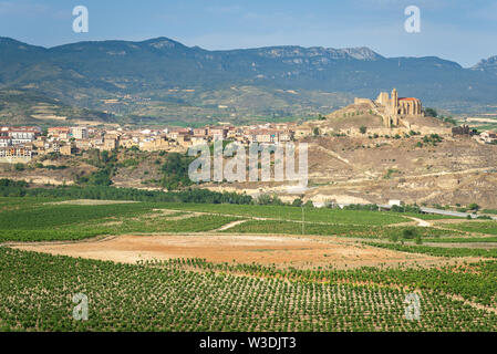 Weinberge im Sommer mit San Vicente de la Sonsierra Dorf als Hintergrund, La Rioja, Spanien Stockfoto