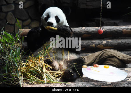 (190715) - jinan, Juli 15, 2019 (Xinhua) - Giant panda" Erxi" genießt Bambus in Jinan Wildlife World in Jinan, Provinz Shandong im Osten Chinas, 15. Juli 2019. Zoo Behörden haben Maßnahmen getroffen, um der Panda im Sommer kühl zu halten. (Xinhua / Wang Kai) Stockfoto