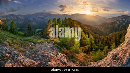 Niedrige Tatra Sommer Landschaft. Wiese mit riesigen Steinen unter dem Gras. Stockfoto