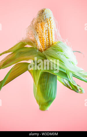 Frischer Mais mit Blättern auf isolierte rosa Hintergrund Stockfoto