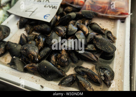 Raw Miesmuscheln in der Schale für Verkaufen auf frischen Fisch essen Markt in Griechenland. Stockfoto