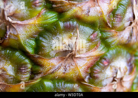 Makro Foto Essen tropische Früchte Ananas. Textur Hintergrund reife saftige Früchte Ananas Palme. Produkt Bild tropische Früchte Ananas Stockfoto