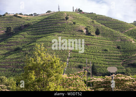 Blick auf die M. Chapoutier Crozes-Hermitage Weinberge in Tain l ' Hermitage, Rhone-Tal, Frankreich Stockfoto