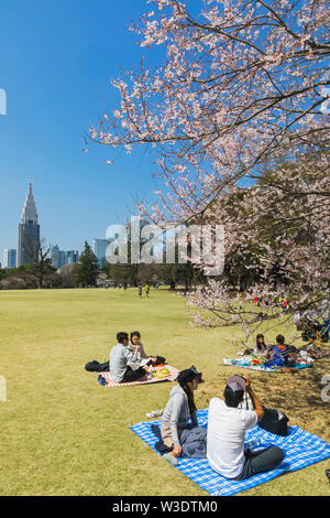 Japan, Honshu, Tokyo, Shinjuku, Shinjuku Goen National Garten, Menschen Picniking unter Kirschblüten Stockfoto