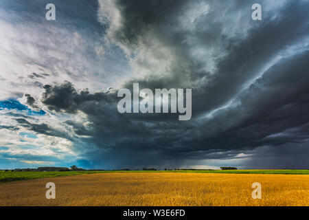 Gewitterwolken mit Shelf cloud Starkregen Stockfoto