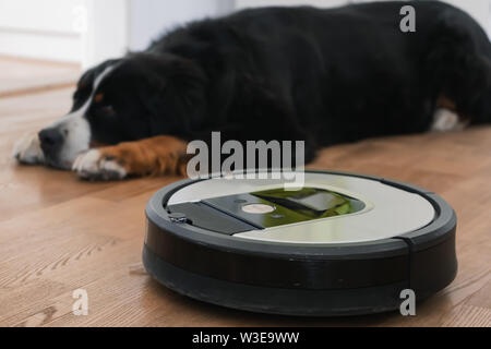 Roboter Staubsauger mit einem Hund im Hintergrund. Stockfoto