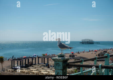 Eine Möwe mit Blick auf Küste von Brighton an einem heißen Sommertag mit dem alten ausgebrannt West Pier im Hintergrund Stockfoto