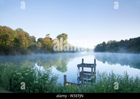 Früh morgens Nebel auf dem See bei Fonthill, in der Nähe der Tisbury in Wiltshire. Stockfoto