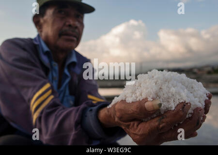 Palu, Indonesien. Am 15. Juli 2019. Ein Bauer zeigt Salz nur in der traditionellen Weise in der Nähe von talise Strand in Palu, Sulawesi, Indonesien, Juli 15, 2019 geerntet. Credit: Opan/Xinhua/Alamy leben Nachrichten Stockfoto