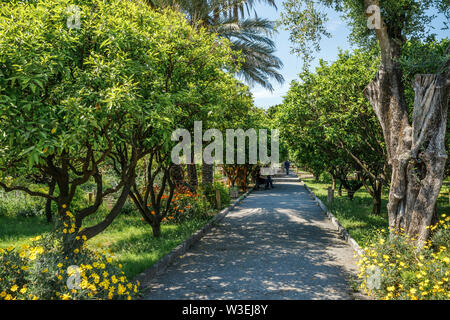 Frankreich, Alpes Maritimes, Menton, Jardin Palais (Palais Carnoles Carnoles Garten) (obligatorisch Erwähnung der Garten name und Redaktion nur, keine postca Stockfoto