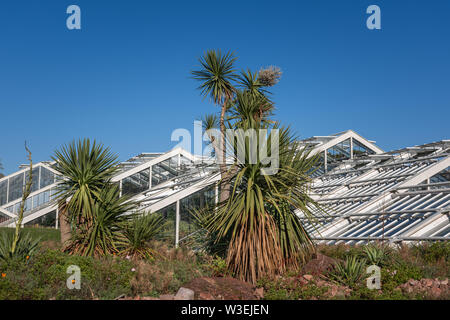 Prinzessin von Wales Conservatory, Kew Gardens, London, UK Stockfoto