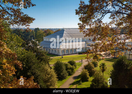 Die Gemäßigten Haus, Kew Gardens, London, UK Stockfoto