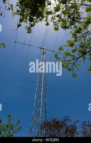 Ham radio communications Turm über der Baumgrenze Stockfoto