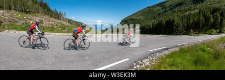 Radfahren in der umgebenden Landschaft Sognefjord, Norwegen. Stockfoto