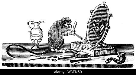 Pastorale Saitenhalter. Holz graviert Abbildung von 'Thomas Bewick' eine allgemeine Geschichte der Vierbeiner', von T.Bewick, Longman und C veröffentlichten Stockfoto