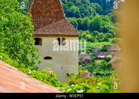 Mittelalterlichen Turm mit Windows wie Augen und Mund, in Birthälm, Rumänien geprägt. Alte Gebäude, das einem menschlichen Gesicht, teilweise hinter einem Baum versteckt. Herkunft Stockfoto