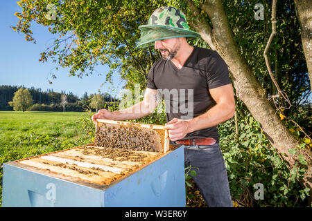 Portrait der männlichen beekeper mit bienenkorb Stockfoto