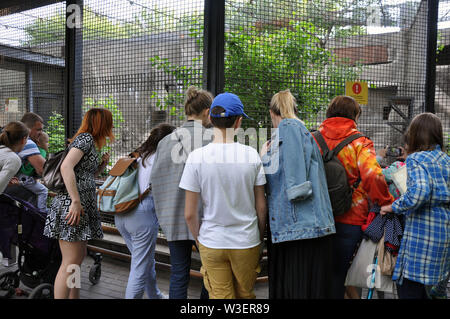 Moskau, Russland - 25. Mai 2019: Eine Masse von Menschen nehmen Sie Bilder und Videos aufnehmen von Mobiltelefonen und Tier Geräte im Zoo Stockfoto