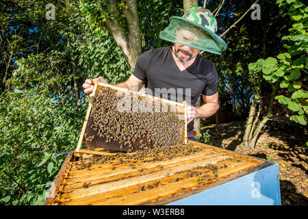 Portrait der männlichen beekeper mit bienenkorb Stockfoto