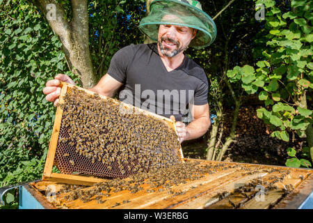Portrait der männlichen beekeper mit bienenkorb Stockfoto