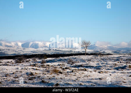 Cloud steigende entlang der Howgill Fells Blick von frostigen Schnee bedeckten Plateau von Scout Narbe eine klare helle Winter tag Kendal Cumbria Lake District, England Stockfoto