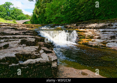 Der Fluss Ribble stolpert über Wasserfälle wie Stainforth Kraft bekannt, in der Nähe des Dorfes Stainforth in den Yorkshire Dales Stockfoto