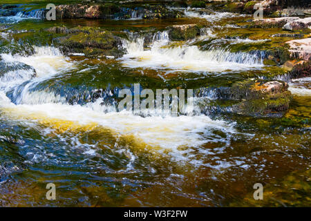 Das klare Wasser des Flusses Ribble verschwimmt, da es über die Felsen in der Nähe von Stainforth in den Yorkshire Dales Pässe Stockfoto