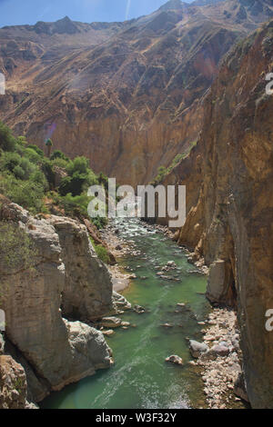 Der Colca Fluss, der durch die immense Colca Canyon, Peru Stockfoto