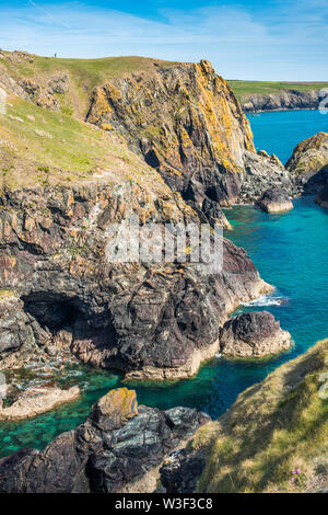 Dramatische Landschaft bei Kynance Cove auf der Lizard Halbinsel, Cornwall, England, Vereinigtes Königreich, Europa Stockfoto