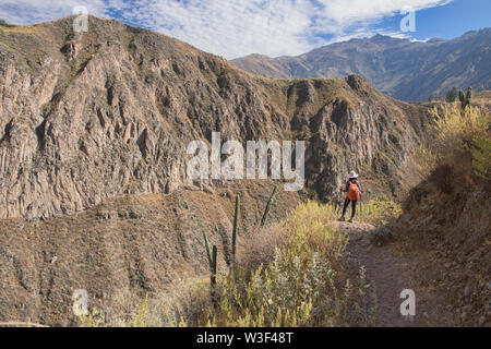 Trekking in der immensen Colca Canyon, Cabanaconde, Peru Stockfoto