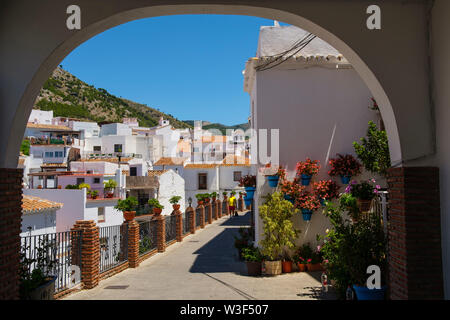 Typische Straße mit Blumen, weißen Dorf Mijas. Provinz Malaga an der Costa del Sol. Andalusien, Süd Spanien Europa Stockfoto