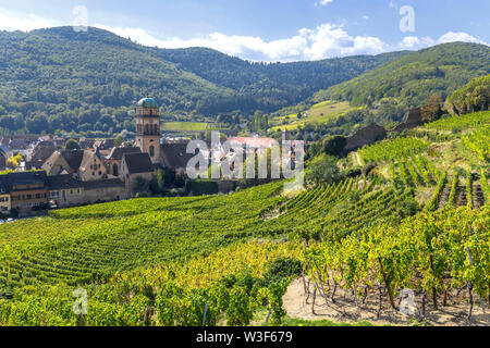 Stadt Kaysersberg in der Mitte der Weinberge, Elsass, Frankreich, Ausläufern der Vogesen Stockfoto