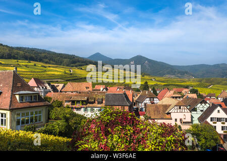 Blick über Hunawihr und Vorgebirge mit Weinbergen, Elsass, Frankreich, Mitglied der schönsten Dörfer von Frankreich Stockfoto