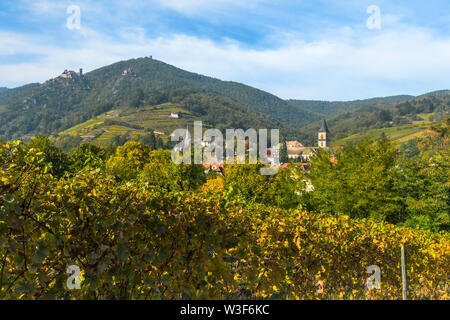 Panorama von village Ribeauvillé mit Landschaft, Elsass, Frankreich, Vogesen mit Weinbergen und Burgen im Hintergrund Stockfoto