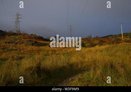 Der Loch Lomond und Cowal Weg. Halbinsel Cowal. Hochland. Schottland. Großbritannien Stockfoto