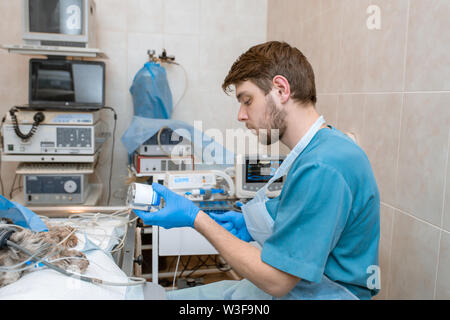 Der Anästhesist stellt die Lösung und bereitet den Hund für Chirurgie. Ein Tierarzt Anästhesist überwacht die Sensoren auf einem Monitor. Sterilen op Stockfoto