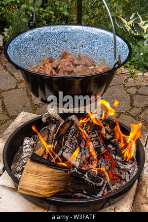 Frittieren das Rindfleisch in einem Kessel über offenem Feuer die Ungarische Kessel Gulasch vorzubereiten. Stockfoto