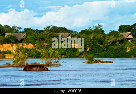 Der Rufiji River Camp liegt am Ufer mit Blick auf den Rufiji Fluss, der größten Ostafricas perennierenden Flüssen und im Selous gelegen Stockfoto