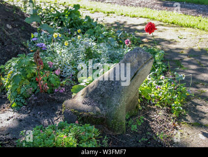 Die steinerne Kröte sitzt im Garten inmitten von Blumen und anderen Pflanzen. Die Blüten sind blau, gelb und rot. Das Gras ist grün. Die Sonne scheint. Stockfoto