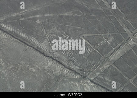 Luftaufnahme von Nazca Linien, eine Spinne Geoglyph, Nazca, Peru Stockfoto