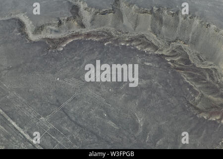 Luftaufnahme von Nazca Linien, ein Kolibri, Nazca, Peru Stockfoto