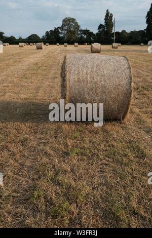 Heu machen, Große Rundballen Cheshire Farm. Stockfoto